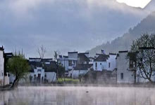 佛山青茶叶品质特点解析(佛山青茶叶品质特点解析图)